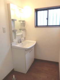 Washroom. Washbasin, After all, shampoo dresser