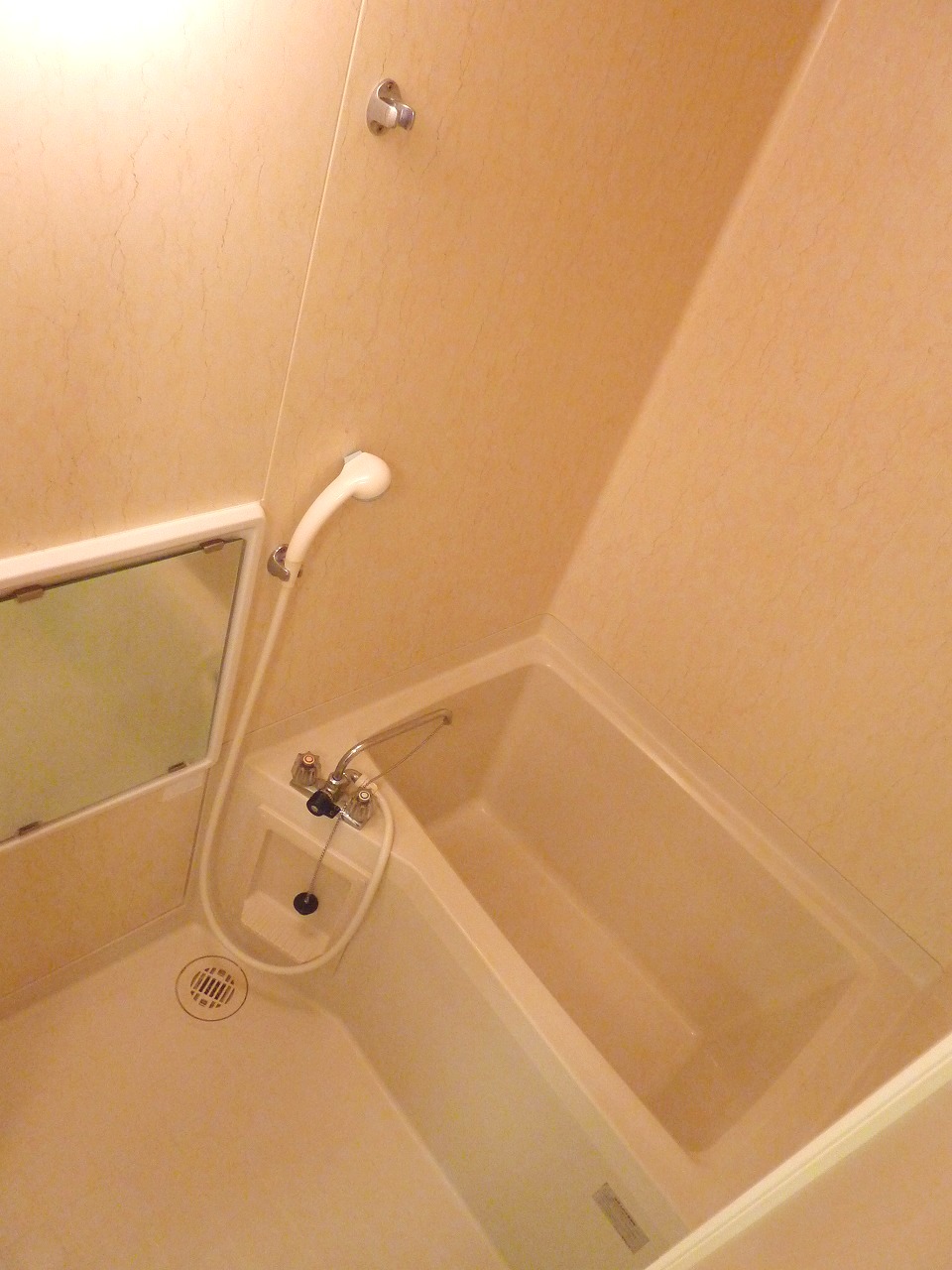 Bath. I am happy with mirror