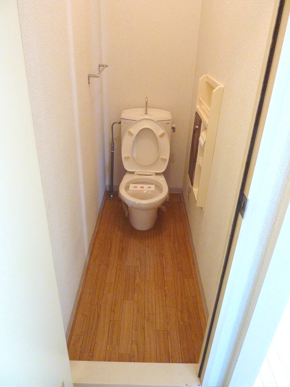 Toilet. It will be Western-style flush toilet
