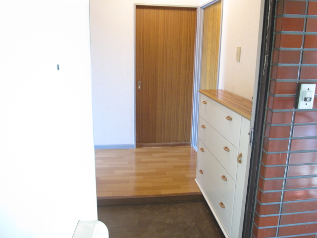 Entrance. The view from the front door