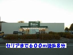 Other. 600m to the ceria (Other)