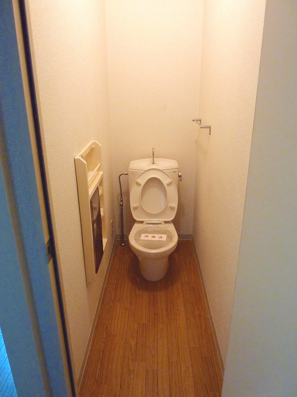 Toilet. It will be Western-style flush toilet