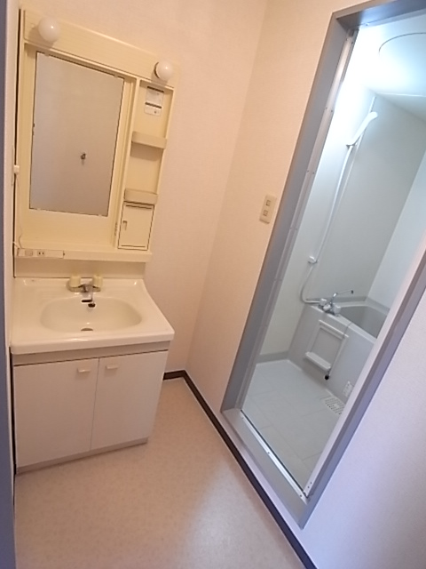 Washroom. There is also a mirror on the washstand.