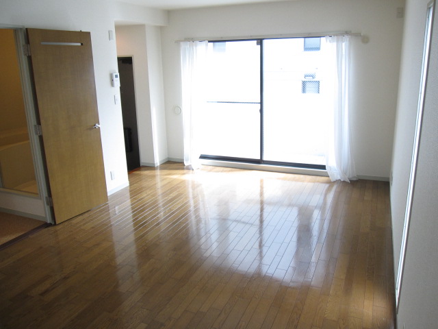 Living and room. Sun Plug from the big window