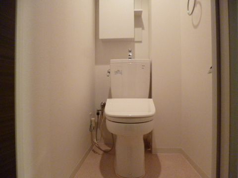 Toilet. Cleaning toilet seat (performance warranty)