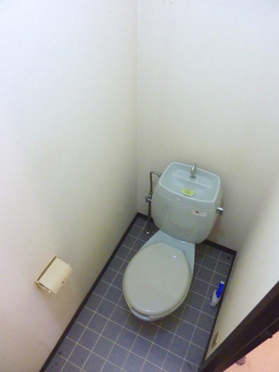 Toilet. It will be Western-style flush toilet