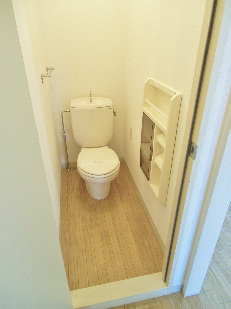 Toilet. It will be Western-style flush toilet