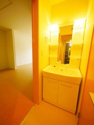 Washroom. Same floor plan Property Image