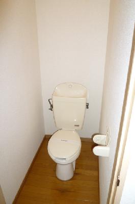 Toilet. Western-style flush toilet