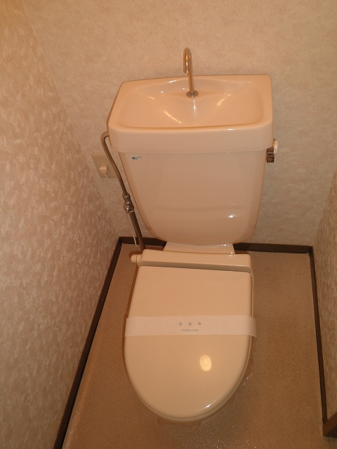 Toilet