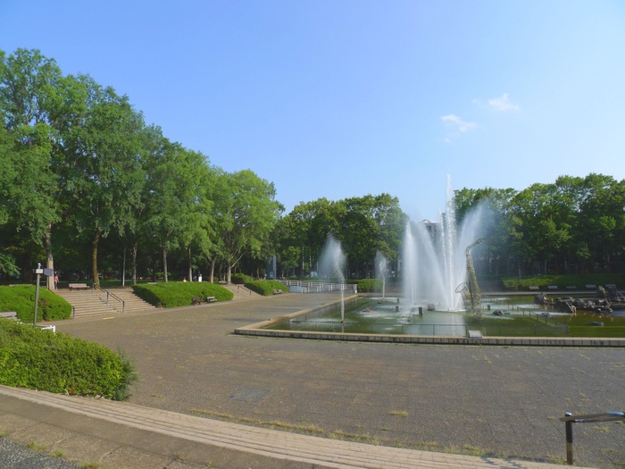 Other. Neighborhood environment