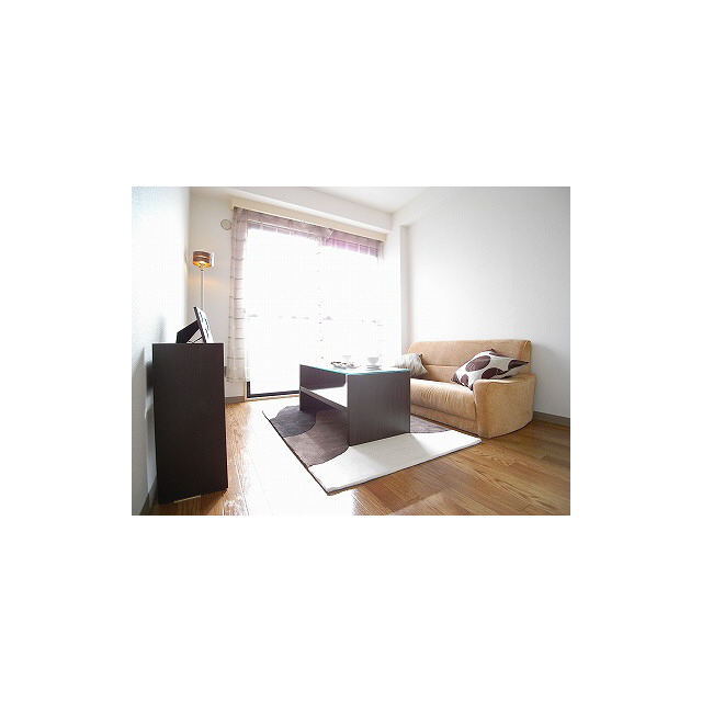 Living and room. Model room installation in