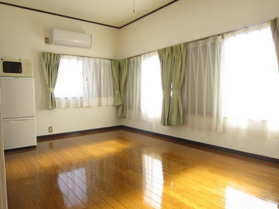 Living and room. Airy is a good room with many windows!