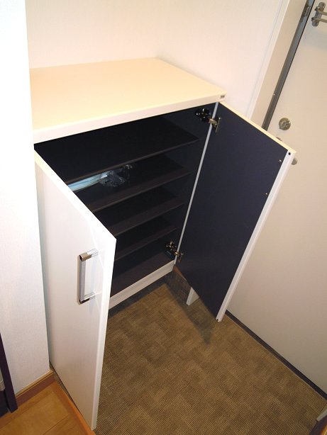 Receipt. Shoe box that surprisingly plenty