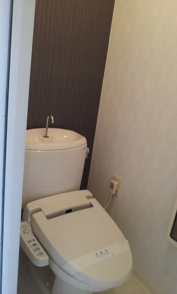 Toilet. Cleaning toilet seat