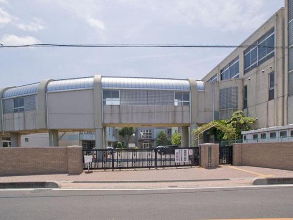 Junior high school. 1410m up to junior high school Yono south junior high school