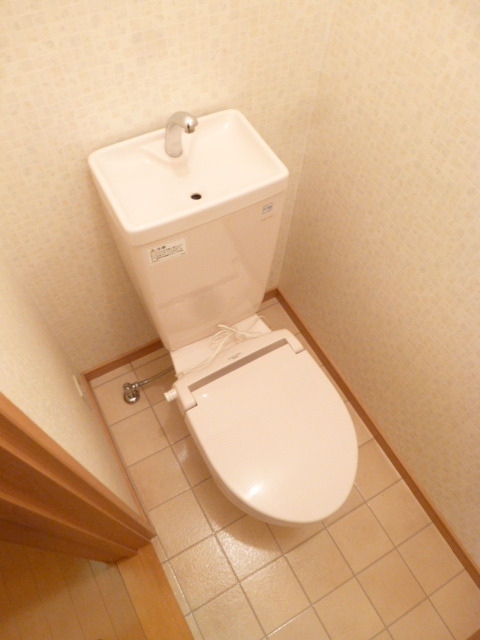 Toilet. Toilet with cleanliness