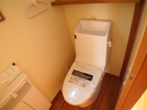 Toilet. Little storage is nice toilet