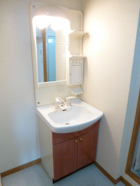 Washroom. Convenient Shampoo dresser