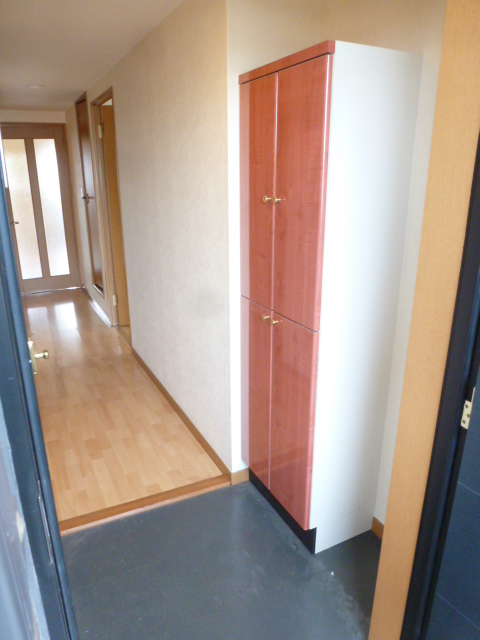 Entrance. Bright entrance space