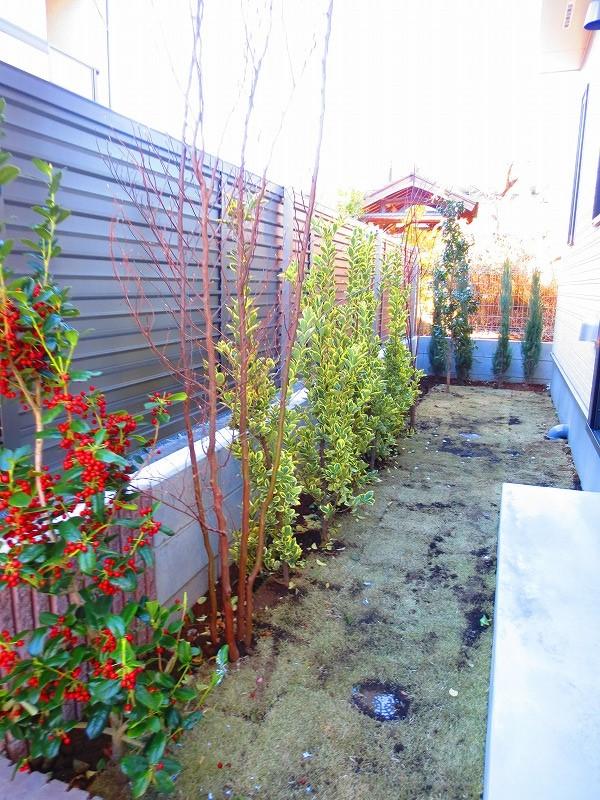 Garden. Local (12 May 2013) Shooting