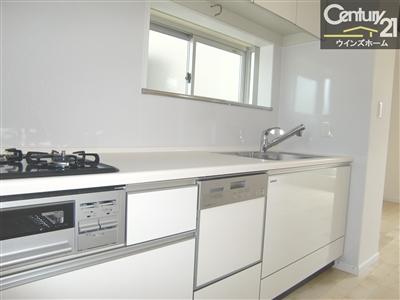 Kitchen. Dishwasher with a kitchen. Cleanup is also happy to