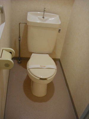Toilet