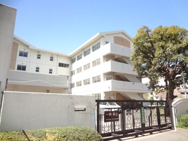 Primary school. 700m up to municipal Tokiwa North Elementary School (elementary school)