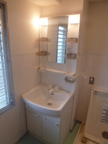 Washroom. Independent wash basin