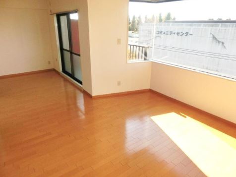 Living and room. Living