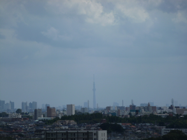 View. Views Sky tree from the balcony