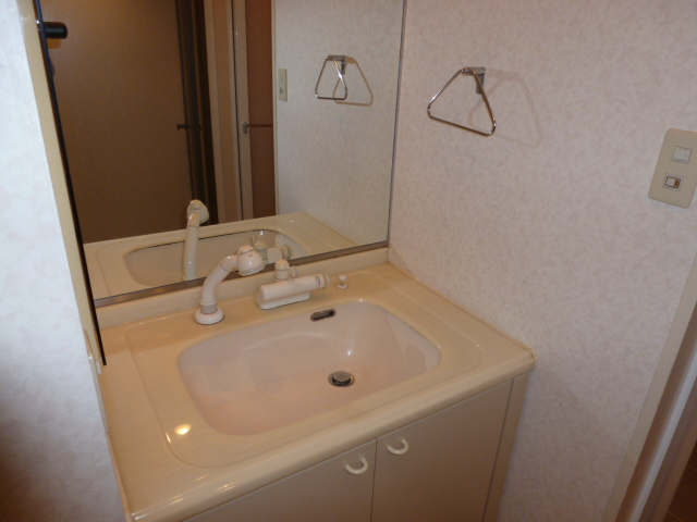 Washroom. With a convenient shampoo dresser