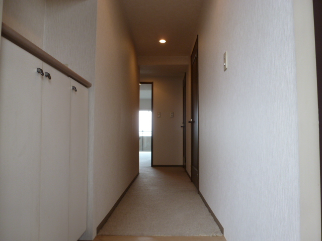 Entrance. How from the entrance I saw the room