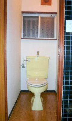 Toilet