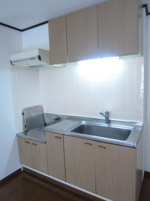 Kitchen. Storage is plenty of kitchen