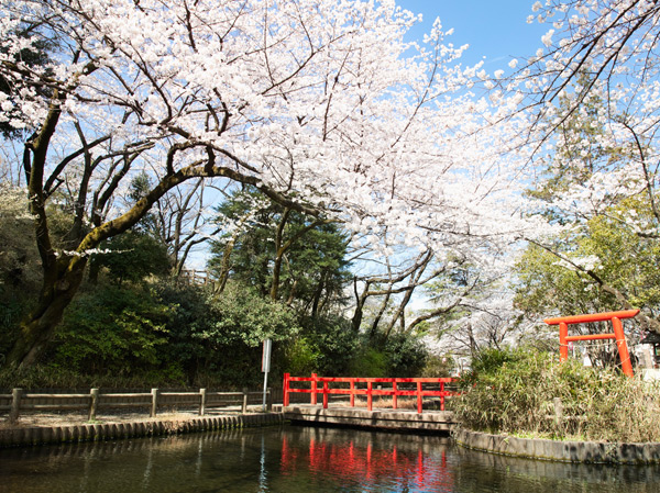 Surrounding environment. Yono park (about 1940m / Walk 25 minutes, Bicycle about 10 minutes)
