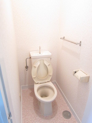 Toilet. Toilet