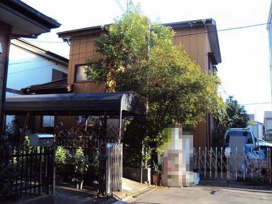 Local land photo. Appearance 1