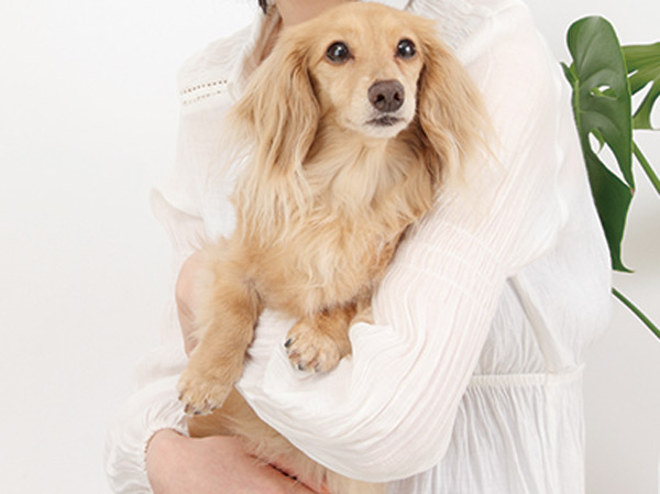 Other.  [Pet foot washing place] In accordance with the management contract, It has to allow live with pet. Also, Also we have established a convenient pet foot washing place on the premises.  ※ Pet type and size, There are a number such as the management contract of the constraints. (Publication photograph of is an example of a pet frog)