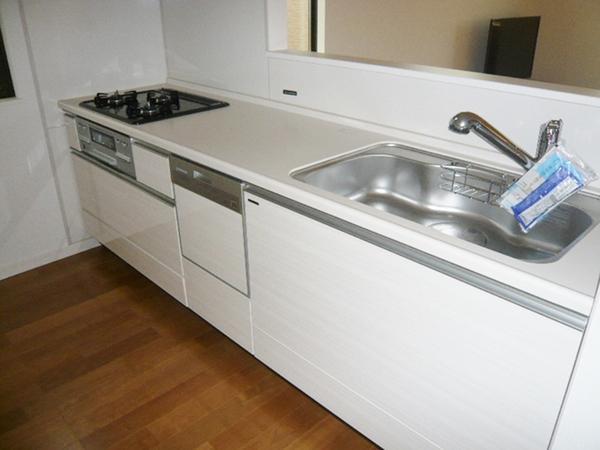 Kitchen. Indoor (11 May 2013) Shooting