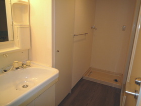 Washroom. With Vanity