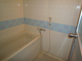 Bath. Reheating possible bathroom