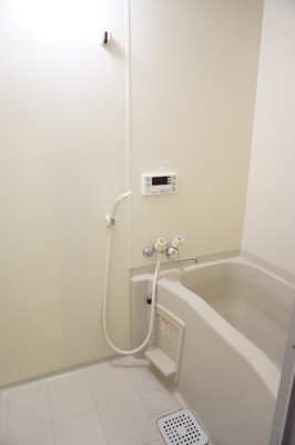 Bath. It looks happy economic Reheating function with bus