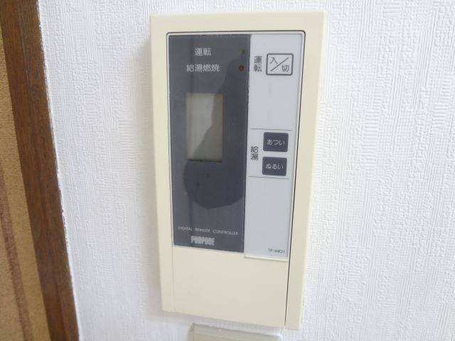 Other. This one also temperature control of hot water. 