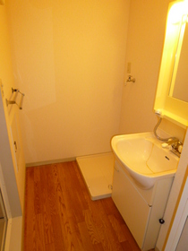 Washroom. Bathroom Vanity