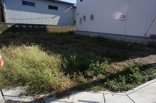 Local land photo. Local Photos