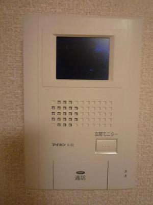 Security. TV is a monitor with intercom