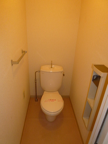 Toilet. Toilet