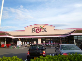 Supermarket. 250m until Bergs (super)