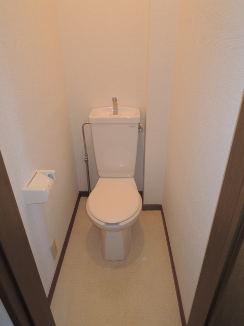 Toilet. Clean toilets